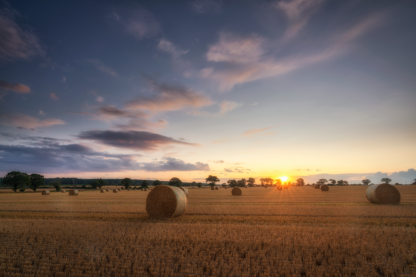 Sunset during harvest time